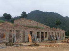 羅卜沖村 羅卜沖村