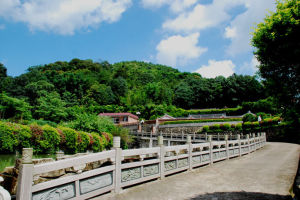 黃花村景照