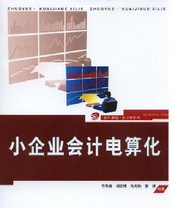 會計核算電算化