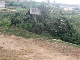 郭里村[雲南省保山市隆陽區板橋鎮下轄村]