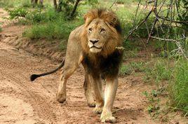 恩格拉拉里克 恩格拉拉里克