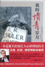 我的憤青歲月 我的憤青歲月