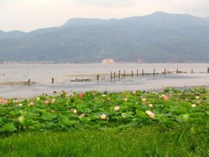 雲南星雲湖 雲南星雲湖