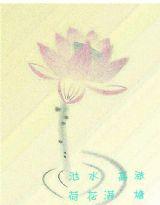 池水高漲、荷花滿塘