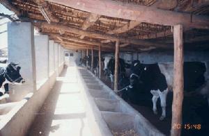 科爾沁區三義堂農場