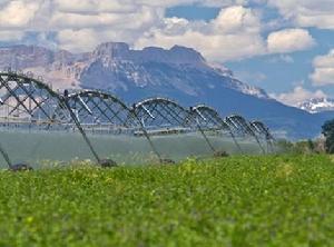 奧古斯塔市[美國緬因州奧古斯塔市]