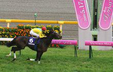 伏特加勝出維多利亞一哩賽