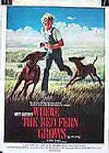 彼得·博格達諾維奇