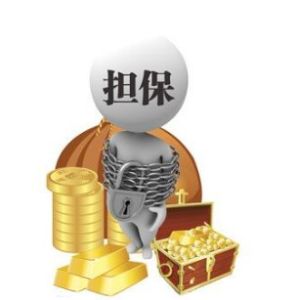 納稅擔保 納稅擔保