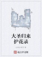 大聖歸來護花錄