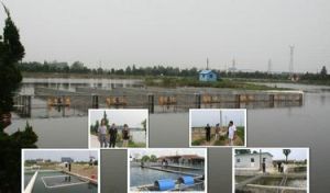 如皋市中心沙水產養殖場 如皋市中心沙水產養殖場