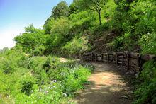 十八盤林間小道