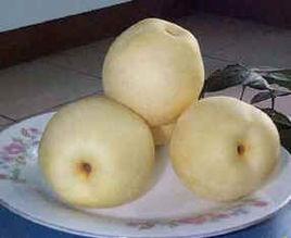 水晶鴨梨 水晶鴨梨