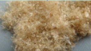 脫芒處理後的燕麥粒