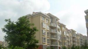 怡翠山莊 怡翠山莊