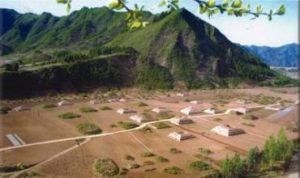 集安梨樹園子南遺址 集安梨樹園子南遺址