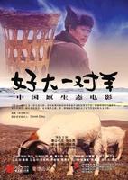 好大一對羊 好大一對羊