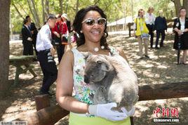 托貝卡·瑪西佳 托貝卡·瑪西佳