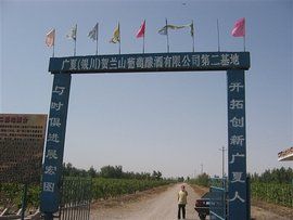 銀廣廈事件 銀廣廈事件