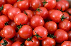 櫻桃聖女果 櫻桃聖女果