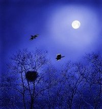 西江月[詞牌名]