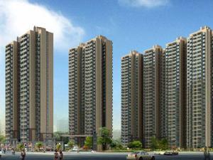 白鹿花園 白鹿花園