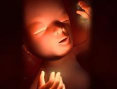 懷孕13周 懷孕13周