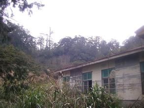 巨家山後村 巨家山後村