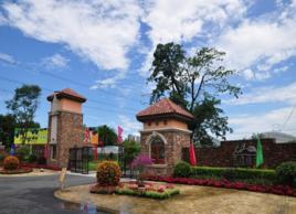 西鎮綠農 西鎮綠農