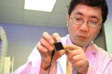 支志明 工作 與獲獎