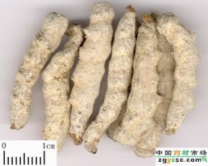 獨腳金錢湯 獨腳金錢湯