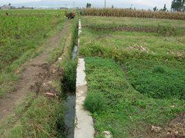 小香果城村 小香果城村