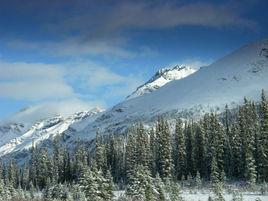 凍原氣候 凍原氣候