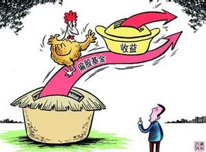 偏股基金 偏股基金