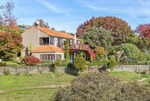 北哈維諾 北哈維諾