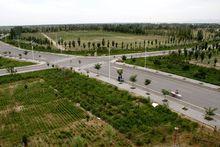 寧夏葡萄酒與防沙治沙職業技術學院