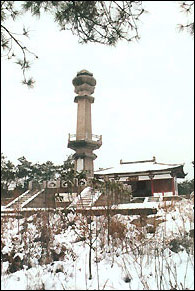 （圖）光照日月