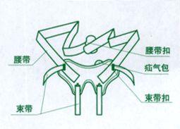 疝氣治療帶 疝氣治療帶
