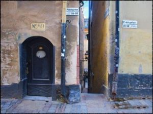 冷箱夏季:卡蘿里德的秘密 冷箱夏季:卡蘿里德的秘密