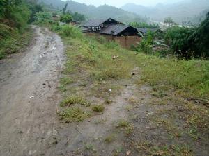住紮自然村村內道路