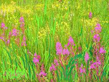 朱沙[作家、畫家，記者]