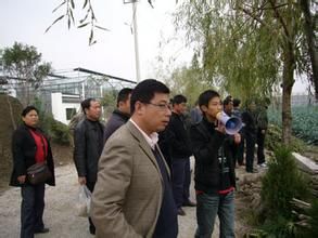 橋西一村 橋西一村