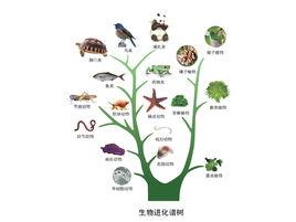 放長線釣大魚 放長線釣大魚