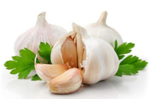 郫縣大蒜 郫縣大蒜