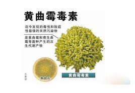 三大致癌物質 三大致癌物質