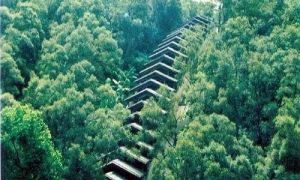 筆架山宋窯 筆架山宋窯