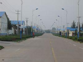 夏莊鎮[山東省高密市夏莊鎮]