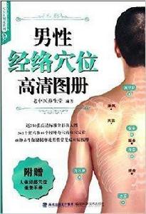男性經絡穴位高清圖冊 男性經絡穴位高清圖冊