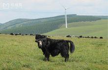 紅松窪國家級自然保護區