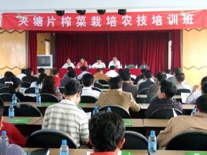 餘姚市第五蔬菜精製廠 餘姚市第五蔬菜精製廠